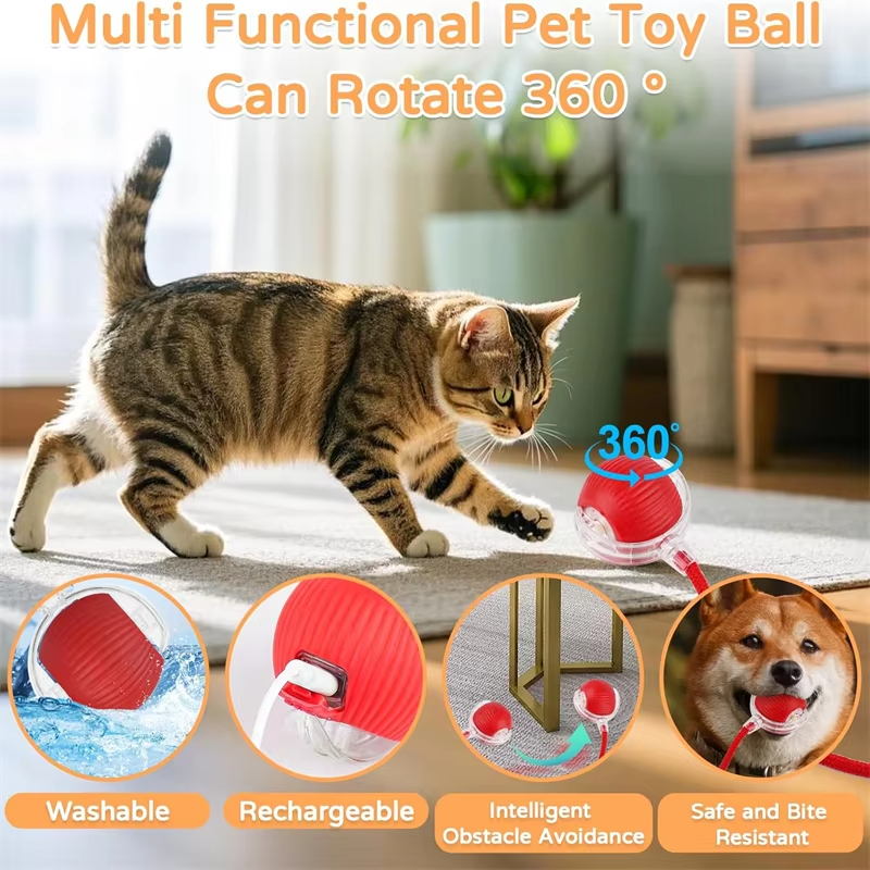 New Cat Interactive Ball Toy A - Power Tools Cat review and price