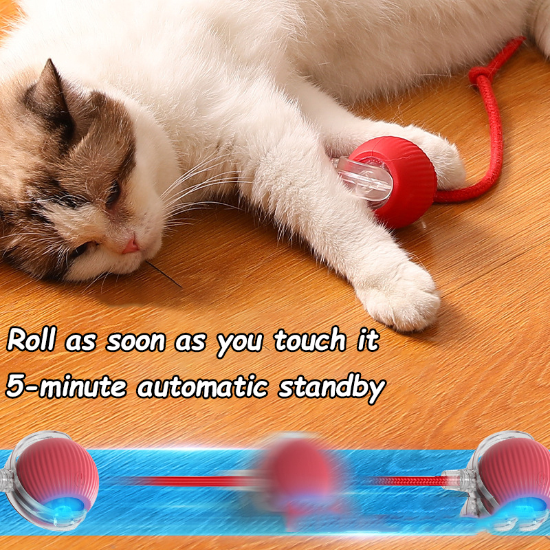 New Cat Interactive Ball Toy A - Power Tools Cat review and price