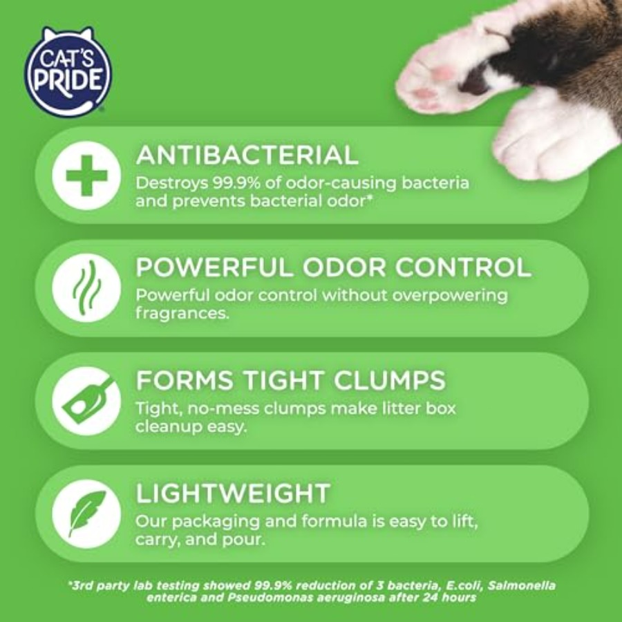 NEW Antibacterial Cat Litter:  - Power Tools Cat review and price