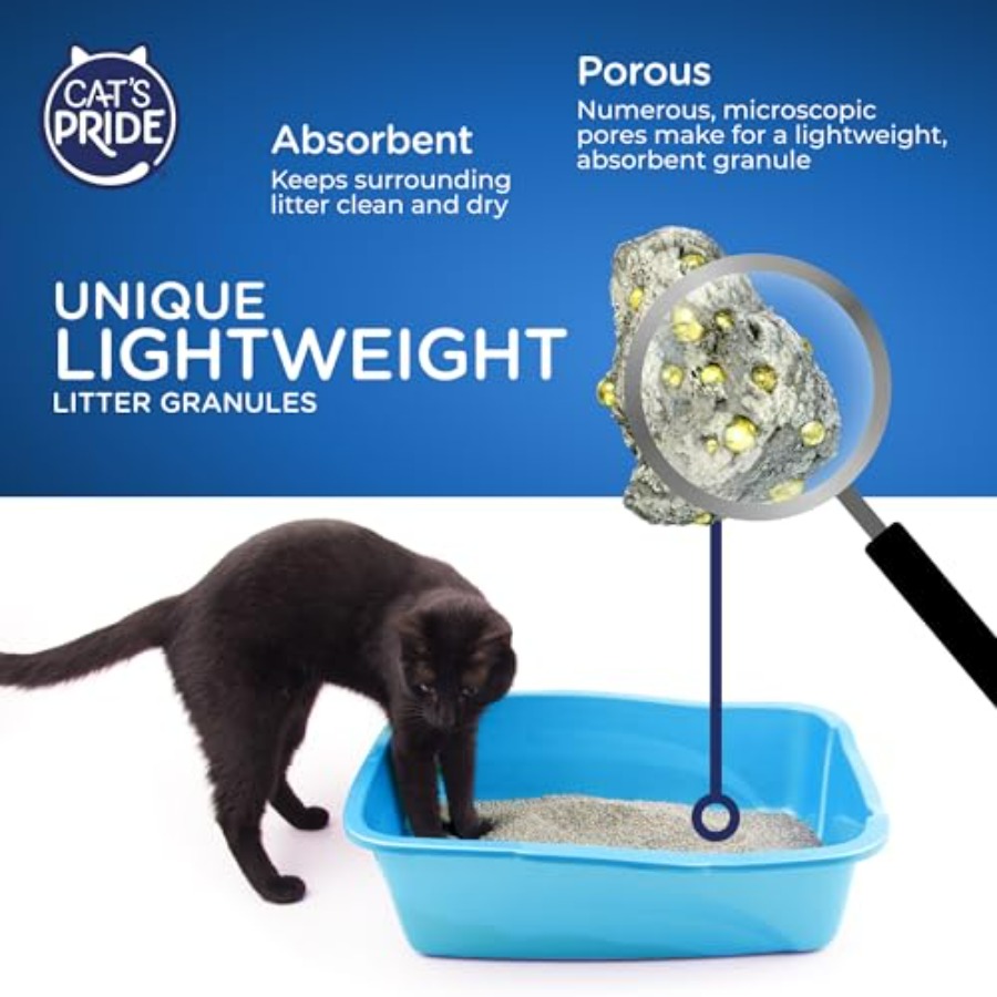 NEW Antibacterial Cat Litter:  - Power Tools Cat review and price
